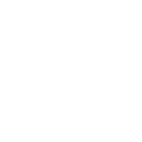 AI — Prolounge hat